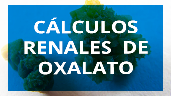 Cálculos renales de oxalato cálcico