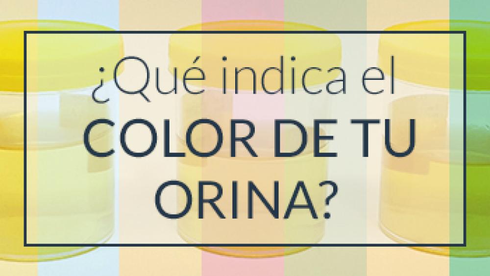 ¿Qué indica el color de tu orina?