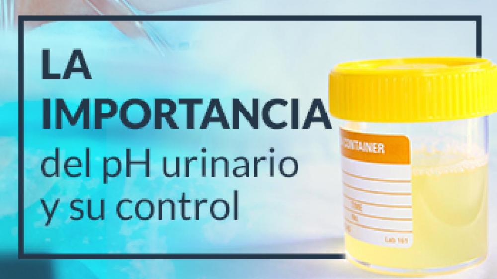 La importancia del pH urinario y su control