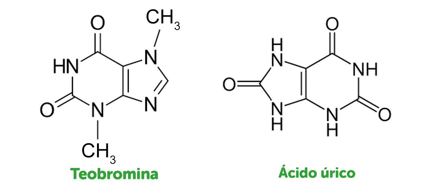 Teobromina vs ácido úrico